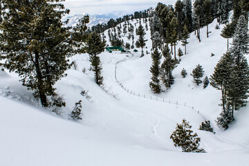 Malam Jabba and Kalam Swat Scenery Landscape