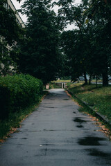 street 