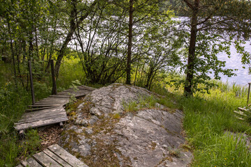 Summer landscape in the forest by the lake. A large stone on the path of the tourist route. Moss covered stone.