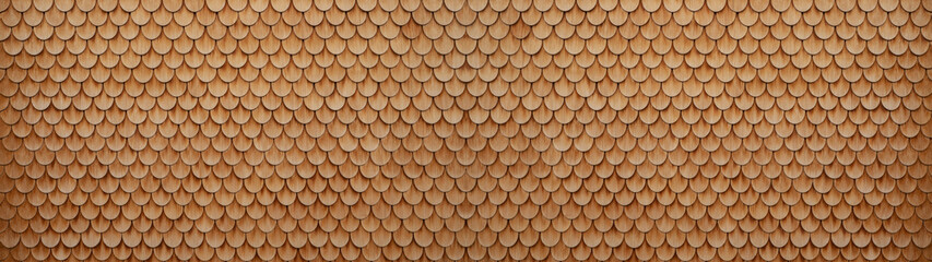 Traditional ecological  consistent cladding of a wall with wooden larch fish scales, wood shingles, clapboard, clapboard texture background banner panorama 3D scindula in Voralberg © Corri Seizinger