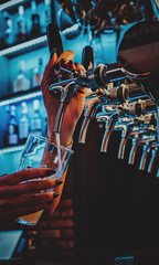 woman bartender hand at beer tap pouring a draught beer in glass serving in a restaurant or pub