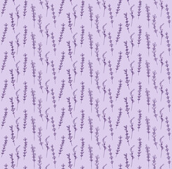 Seamless pattern width lavender flowers. For textile, background, oil, summer mediterranean illustrations
