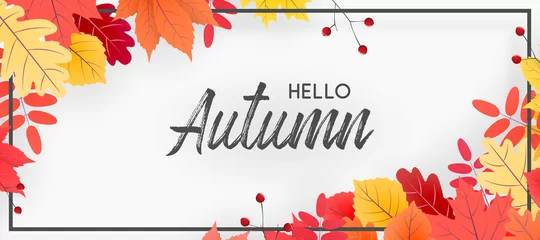 Poster Hello autumn falling leaves. Autumnal foliage fall and poplar leaves. Autumn design. Templates for placards, banners, flyers, presentations, reports. © tutti_frutti