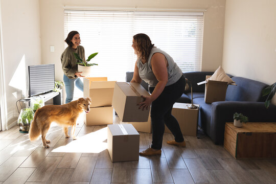 Lesbian couple with dog smiling and holding boxes during moving house