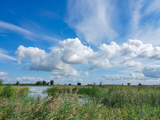Fototapeta premium The Weerribben-Wieden National Park with an area of roughly 100 square kilometres is a national park of the Netherlands in the Steenwijkerland municipality of the province of Overijssel.