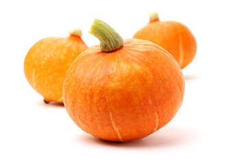 Orange pumpkin on white background 