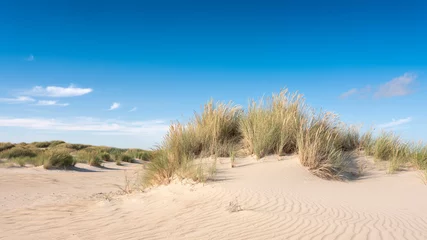 Poster Im Rahmen Die niederländischen Watteninseln haben viele verlassene Sanddünen unter blauem Sommerhimmel in den Niederlanden © ahavelaar