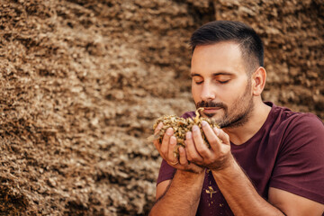 Adult man, checking the freshness of the grain.