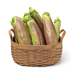 aubergine on a white background
