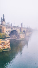 Prague city photography - 447681483