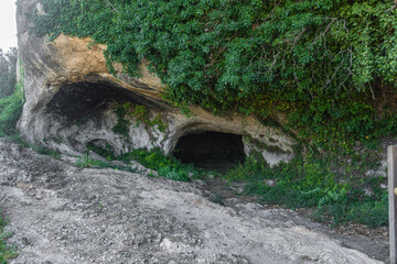 Entrance to a cave, covered with vines, in the lower part of a mountain.