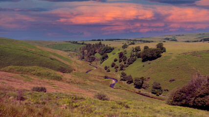 Devon landscape, 