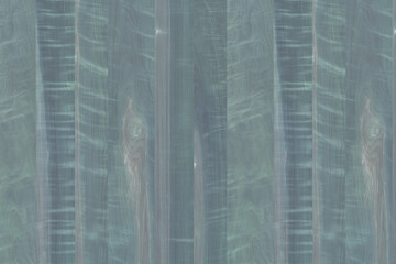 Obraz premium apple wood timber lumber texture pattern