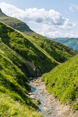 Portrait of little stream going down into the green valley in the dolomites