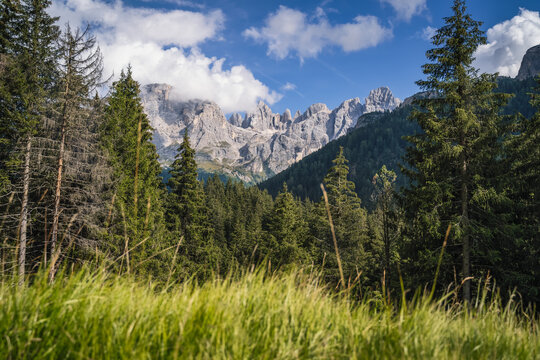 Val Venegia with view of Pale di San Martino mountains group, Italian Dolomites, UNESCO World Heritage Site © Igor Tichonow