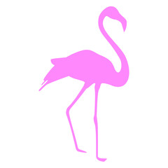 Flamingo bird silhouette isolated on a white background