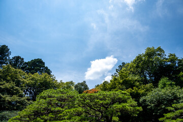 Fototapeta na wymiar 風景素材　旧竹林院の青空と緑の木々