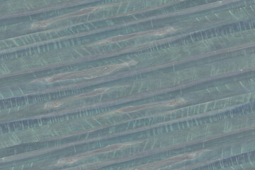 apple wood timber lumber texture pattern