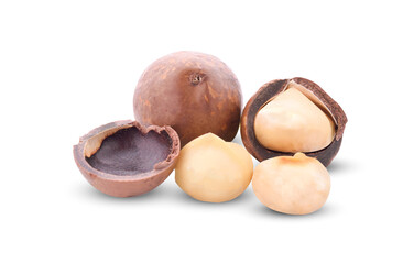 Macadamia nut isolated on a white background
