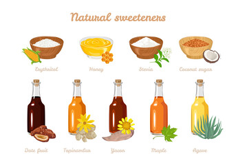 Organic sweeteners set. Erythritol, Honey, Stevia, Coconut sugar in  bowl, topinambur syrup in glass bottle, Yacon, Maple, Agave, dates. Vector illustration of healthy food in cartoon flat style.