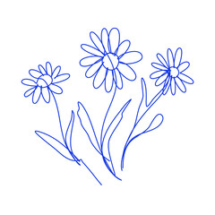 Flower collection in doodle style. Camomiles with editable continuous stroke. Floral design elements. Vector Illustration.