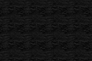 wood bark wooden texture structure pattern