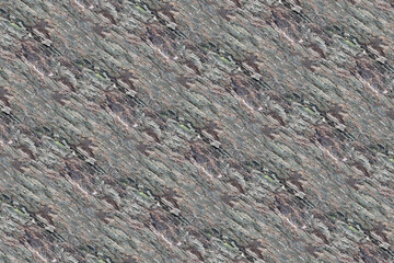 wood bark wooden texture structure pattern