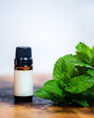 mentha piperita mock up