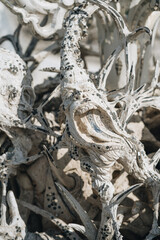 Close-up details Wat Rong Khun, known as the White Temple