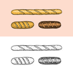 Bakery products. Baguettes and bread, pie and cake. Engraved hand drawn in old sketch and vintage style for label and menu bakery shop. .