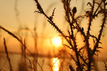 Landscapes summer in village next to lake