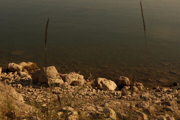 Landscapes summer in village next to lake