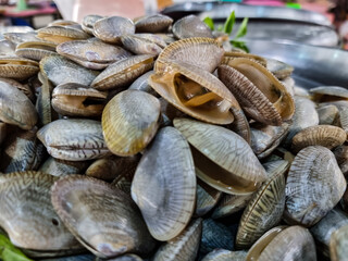 Fresh clams are sold in the fresh market.