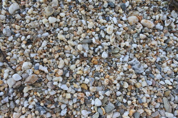 pebble stone background on the beach