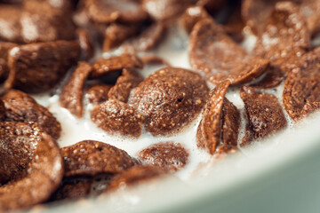 Closeup of Chocolate cereal with selective focus. Shallow depth field. Healthy food concept