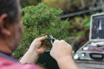 Close up of caucasian male gardener cutting trees at garden centre