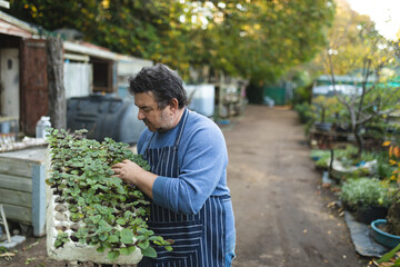 Caucasian male gardener holding box with seedlings at garden centre