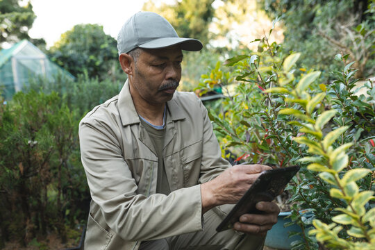 African american male gardener using tablet at garden centre - Powered by Adobe