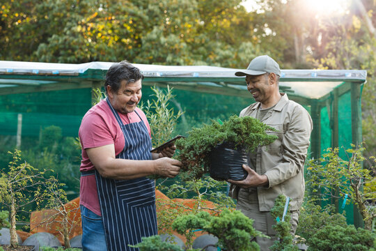 Two diverse male gardeners taking care of plants and smiling at garden centre - Powered by Adobe