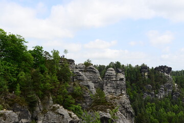 Fototapeta na wymiar nature in the mountains of Germany Saxon Switzerland