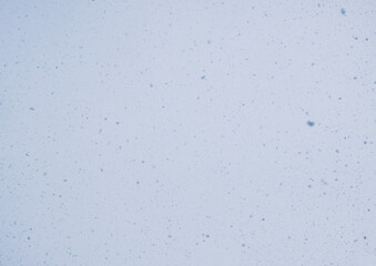 Blurred winter photo overlay. Empty space. Light background with fluffy flying snowflakes.