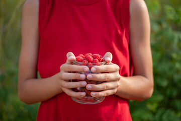 Kid's hands hold a full jar of fresh raspberries ready ti eat on a summer day.