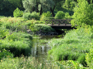 Fototapeta na wymiar Wooden bridge over the stream in the park