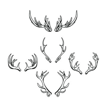 Deer horn vector illustration