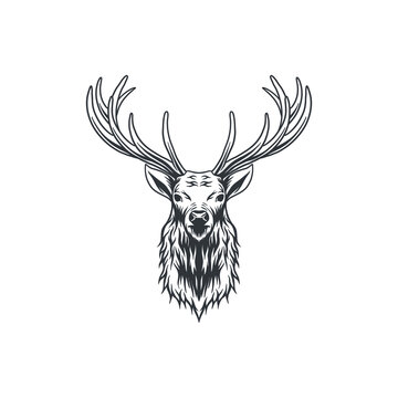 Deer head sketch vector illustration