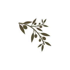 olive icon vector illustration design template