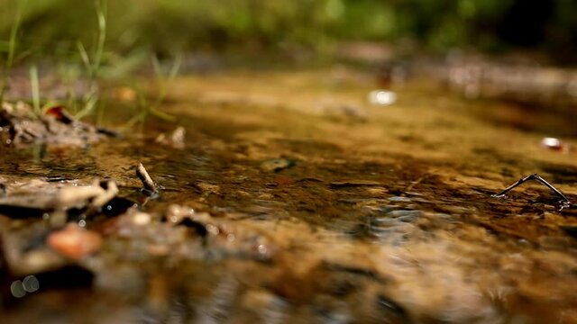 Macro view of water flowing in a gentile stream or brook in the countryside