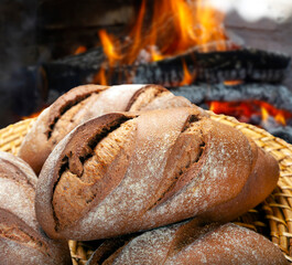 Basket of bread baked in a wood oven