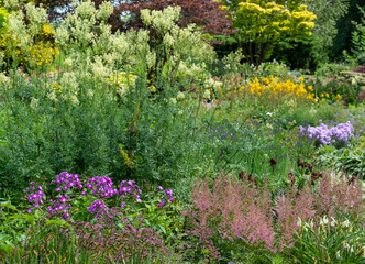 Colourful garden planted in the naturalistic style of the New Perennial movement, with emphasis on layering, structure, form and wide colour palette. 