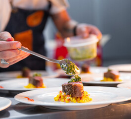 Chef Preparing Plates in a Restaurant
